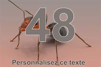 Plaque numéro de maison avec une fourmi en gros plan, chiffre gris