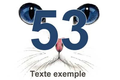 Plaque numéro de maison au museau de chat aux yeux bleus, chiffre bleu marine