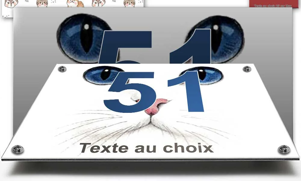 Plaque numéro de maison au museau de chat posée près d'une porte d'entrée